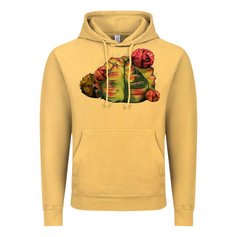 Gymnocalycium Variegated Cactus Vintage Hoodie by LillyAllenDesigns | Teevron