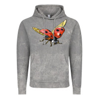 Cloud Rock Ladybug Flying Vintage Hoodie - LillyAllenDesigns