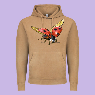 Ladybug Flying Vintage Hoodie Designed By Lillyallendesigns