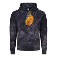 Cloud Black American Robin Bird Vintage Hoodie - LillyAllenDesigns