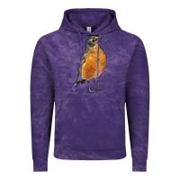 Cloud Purple American Robin Bird Vintage Hoodie - LillyAllenDesigns