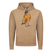 Vintage Coffee American Robin Bird Vintage Hoodie - LillyAllenDesigns