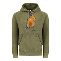 Vintage Olive American Robin Bird Vintage Hoodie - LillyAllenDesigns