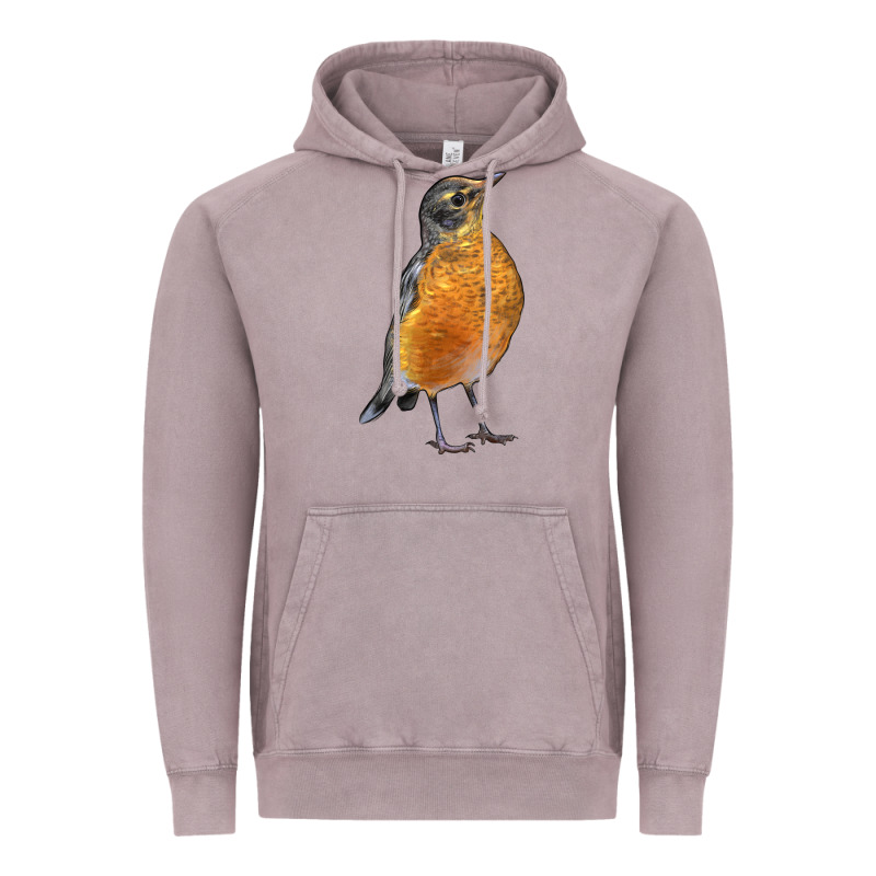 American Robin Bird Vintage Hoodie by LillyAllenDesigns | Teevron