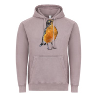 Vintage Zinc American Robin Bird Vintage Hoodie - LillyAllenDesigns