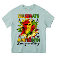 Arona celebrate juneteenth know your history Heavy Core Tee - HRA Design Shop