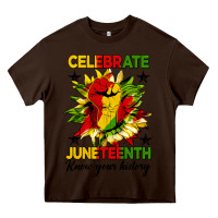 Chocolate Brown celebrate juneteenth know your history Heavy Core Tee - HRA Design Shop