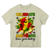 Mossy celebrate juneteenth know your history Heavy Core Tee - HRA Design Shop