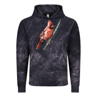 Cloud Black Northern Cardinal Bird Vintage Hoodie - LillyAllenDesigns