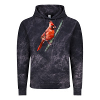 Cloud Black Northern Cardinal Bird Vintage Hoodie - LillyAllenDesigns