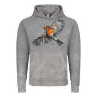 Cloud Rock Flying American Robin Vintage Hoodie - LillyAllenDesigns