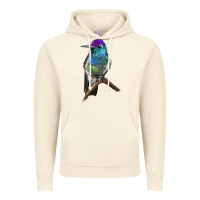 Vintage Artic Rivoli`s Hummingbird Vintage Hoodie - LillyAllenDesigns