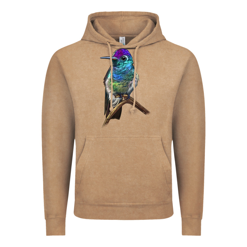 Rivoli`s Hummingbird Vintage Hoodie by LillyAllenDesigns | Teevron