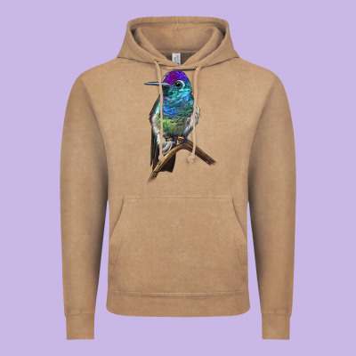Rivoli`s Hummingbird Vintage Hoodie Designed By Lillyallendesigns