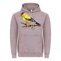Vintage Zinc American Goldfinch Vintage Hoodie - LillyAllenDesigns
