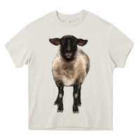 Cream suffolk ewe front Heavy Core Tee - BarkalooDesign