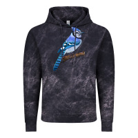 Cloud Black Blue Jay Bird Vintage Hoodie - LillyAllenDesigns