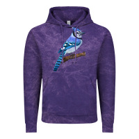 Cloud Purple Blue Jay Bird Vintage Hoodie - LillyAllenDesigns