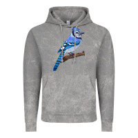 Cloud Rock Blue Jay Bird Vintage Hoodie - LillyAllenDesigns
