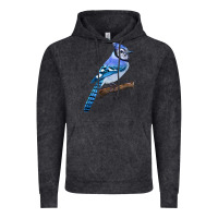 Vintage Black Blue Jay Bird Vintage Hoodie - LillyAllenDesigns