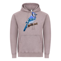 Vintage Zinc Blue Jay Bird Vintage Hoodie - LillyAllenDesigns
