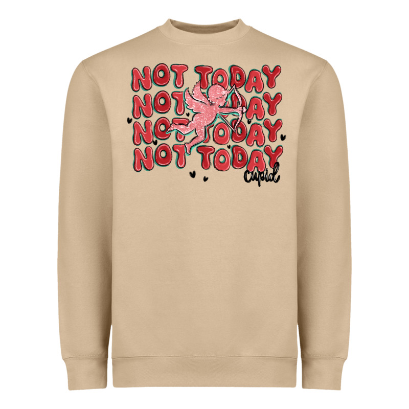 Not Today Cupid Heavyweight Sweatshirt by MaliasSmallBusiness | Teevron
