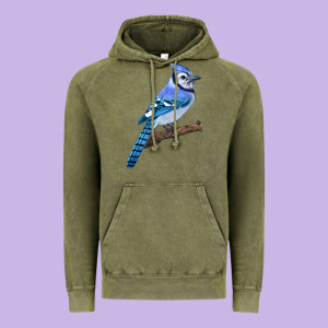 Blue Jay Bird Vintage Hoodie Designed By Lillyallendesigns