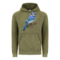 Vintage Olive Blue Jay Bird Vintage Hoodie - LillyAllenDesigns