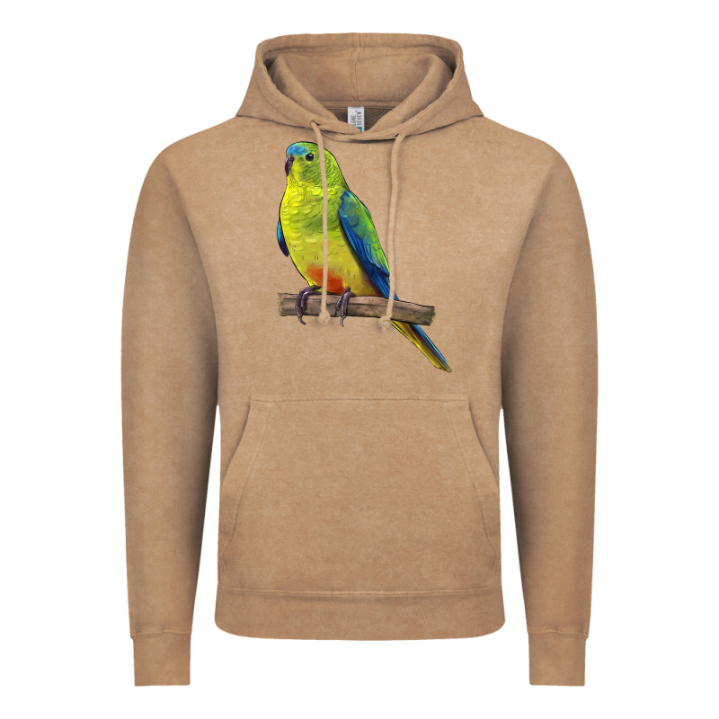 Neophema Parrot Vintage Hoodie by LillyAllenDesigns | Teevron