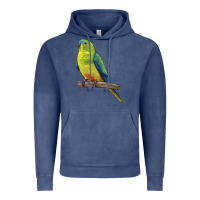 Vintage Denim Neophema Parrot Vintage Hoodie - LillyAllenDesigns
