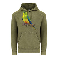 Vintage Olive Neophema Parrot Vintage Hoodie - LillyAllenDesigns