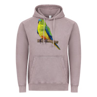 Vintage Zinc Neophema Parrot Vintage Hoodie - LillyAllenDesigns