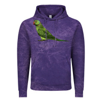 Cloud Purple Ring Necked Parakeet Vintage Hoodie - LillyAllenDesigns