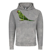 Cloud Rock Ring Necked Parakeet Vintage Hoodie - LillyAllenDesigns