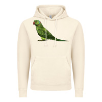 Vintage Artic Ring Necked Parakeet Vintage Hoodie - LillyAllenDesigns