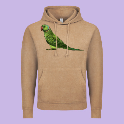 Ring Necked Parakeet Vintage Hoodie Designed By Lillyallendesigns