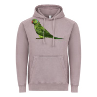Vintage Zinc Ring Necked Parakeet Vintage Hoodie - LillyAllenDesigns