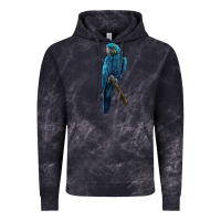 Cloud Black Hyacinth Macaw Vintage Hoodie - LillyAllenDesigns