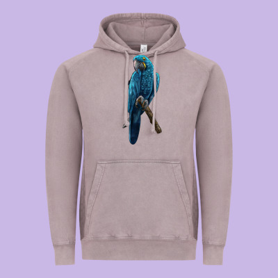 Hyacinth Macaw Vintage Hoodie Designed By Lillyallendesigns