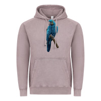 Vintage Zinc Hyacinth Macaw Vintage Hoodie - LillyAllenDesigns