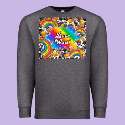 Love Wins Premium Sweatshirt Designed By Tumblerdesignbyshophia