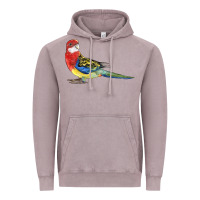 Vintage Zinc Rosella Bird Vintage Hoodie - LillyAllenDesigns