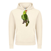 Vintage Artic New Zealand Paraket Parrot Vintage Hoodie - LillyAllenDesigns
