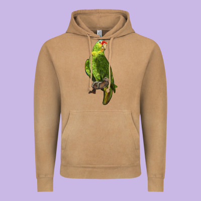New Zealand Paraket Parrot Vintage Hoodie Designed By Lillyallendesigns