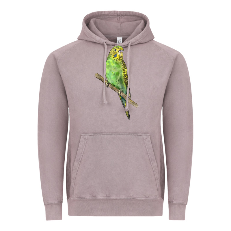 Budgeriar Bird Parrot Vintage Hoodie by LillyAllenDesigns | Teevron