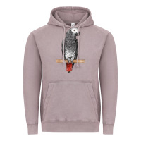 Vintage Zinc African Gray Parrot Bird Vintage Hoodie - LillyAllenDesigns