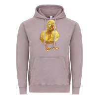 Vintage Zinc Baby Duck Vintage Hoodie - LillyAllenDesigns