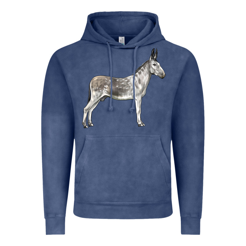 Andalusian Donkey Vintage Hoodie by LillyAllenDesigns | Teevron