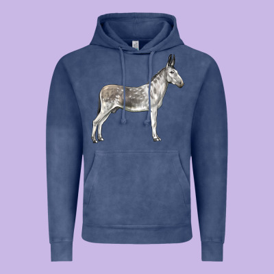 Andalusian Donkey Vintage Hoodie Designed By Lillyallendesigns