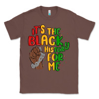 Chestnut it s the black history for me Classic Tee - MaliasSmallBusiness